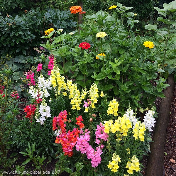 Bauernblumen