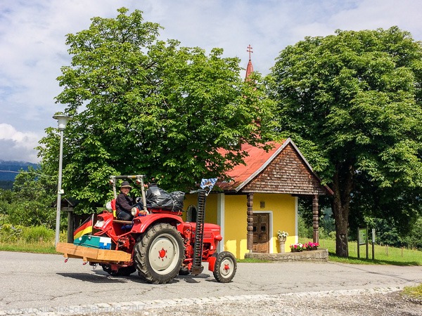 Alter Bulldog bei Flanitz
