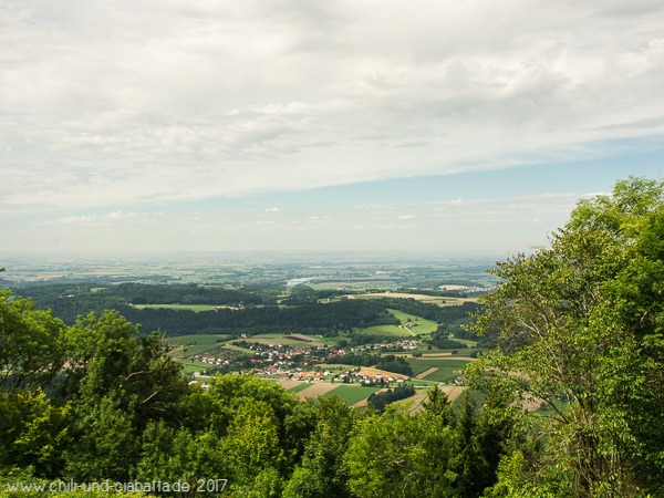 Blick vom Ulrichsberg