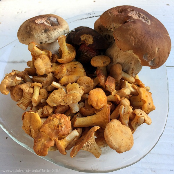 Pilz-Geschenk