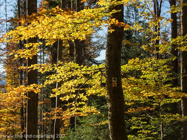 Herbstlaub