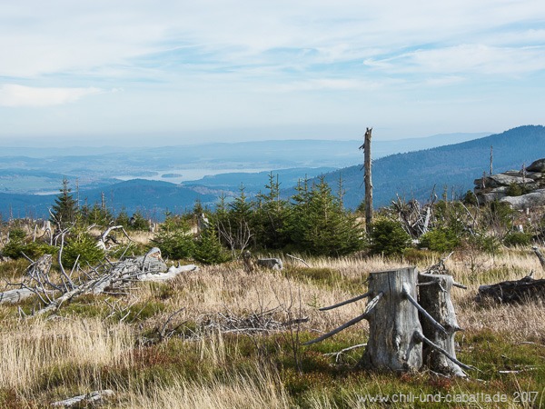 Blick auf Lipno-Stausee