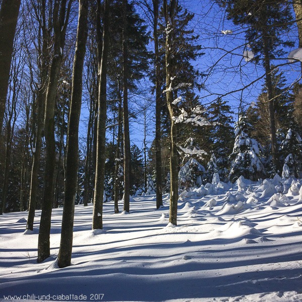 Schneewald