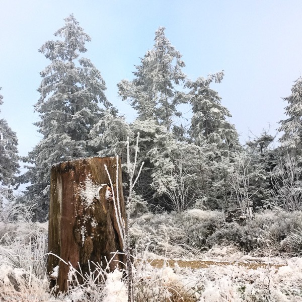 Winterlicher Geisskopf