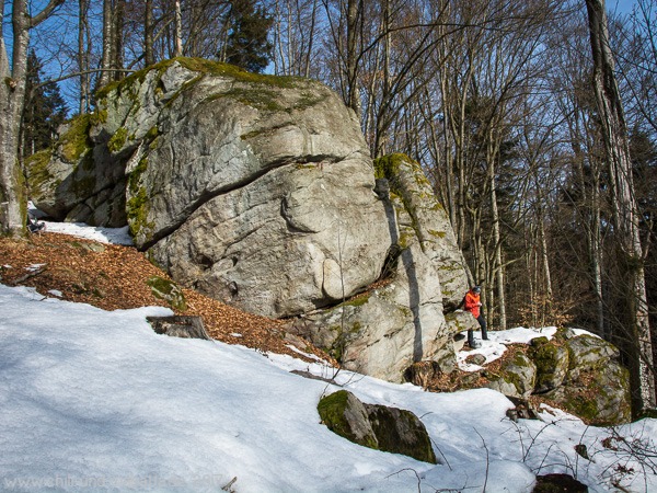 Erster Cache im Februar