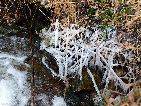 Eisgebilde am Flinzbach