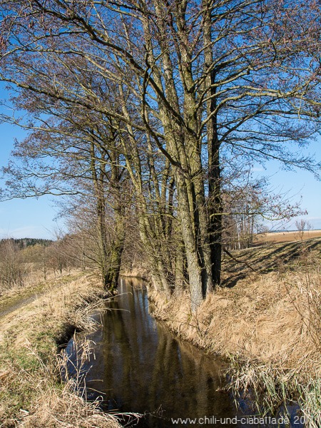 Kanal am Silbersee