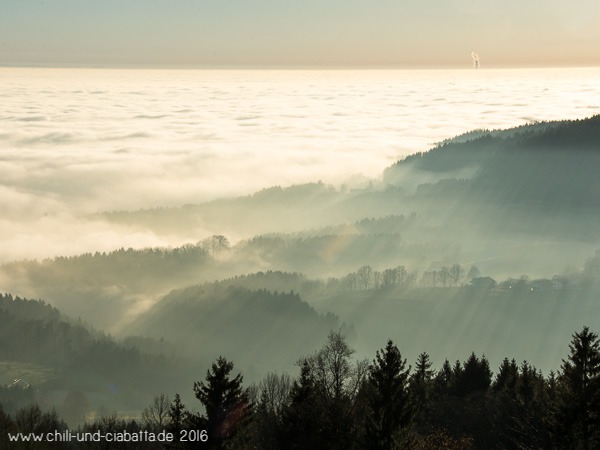 Blick Schuhchristleger