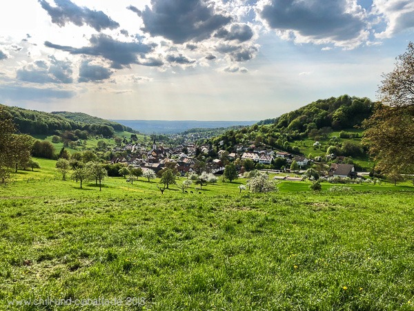 Blick auf Inzlingen