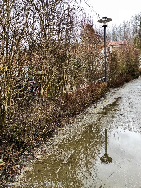 Pfützenspiegelung