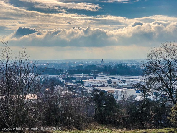 Blick auf Deggendorf