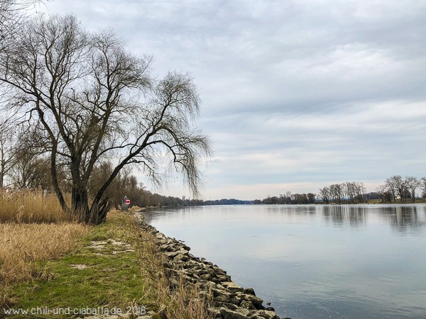 Wildnistour Donau