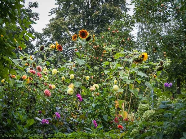Wilder Garten