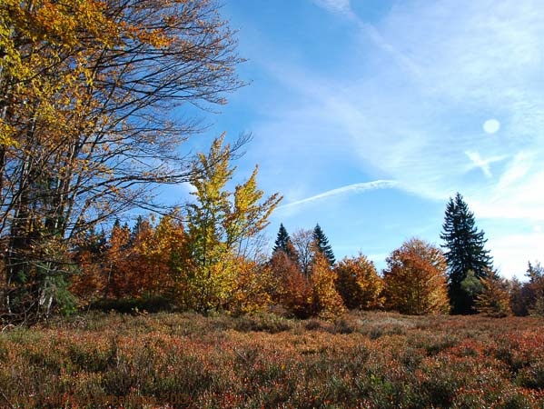 Schachtenwanderung - Herbstfärbung