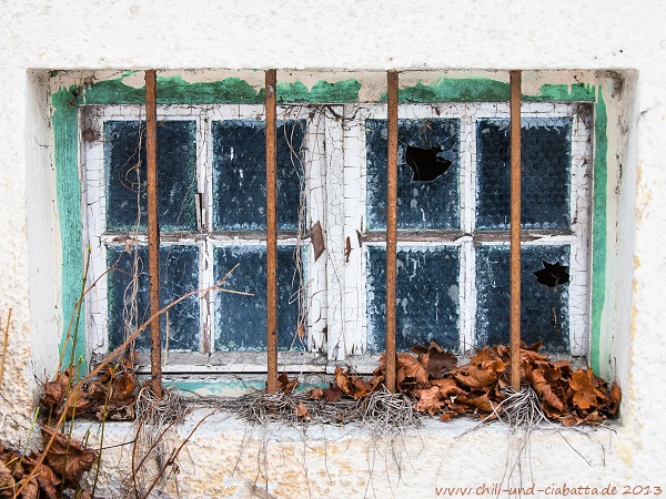 Fenster