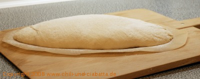 shaped batard (dough 48 hours old)