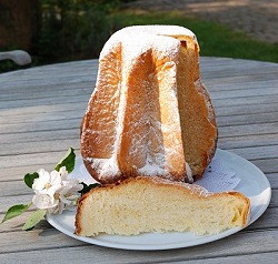 Il Pandoro