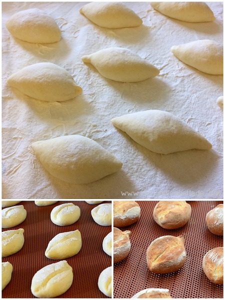 Making of... Ceriola
