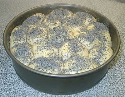 Mohnbrtchen nach dem Aufgehen