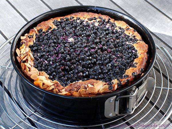 Kuchen in der Form
