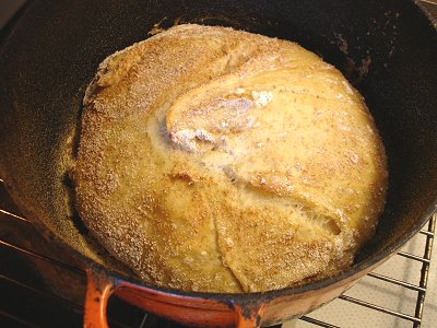 Brot im Topf nach 30 Minuten 