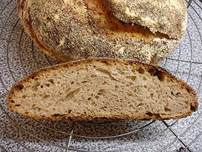 No-knead Bread mit Roggenanteil und Sauerteig