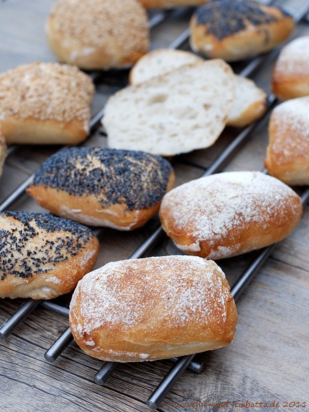 Rustikale Biga-Brötchen